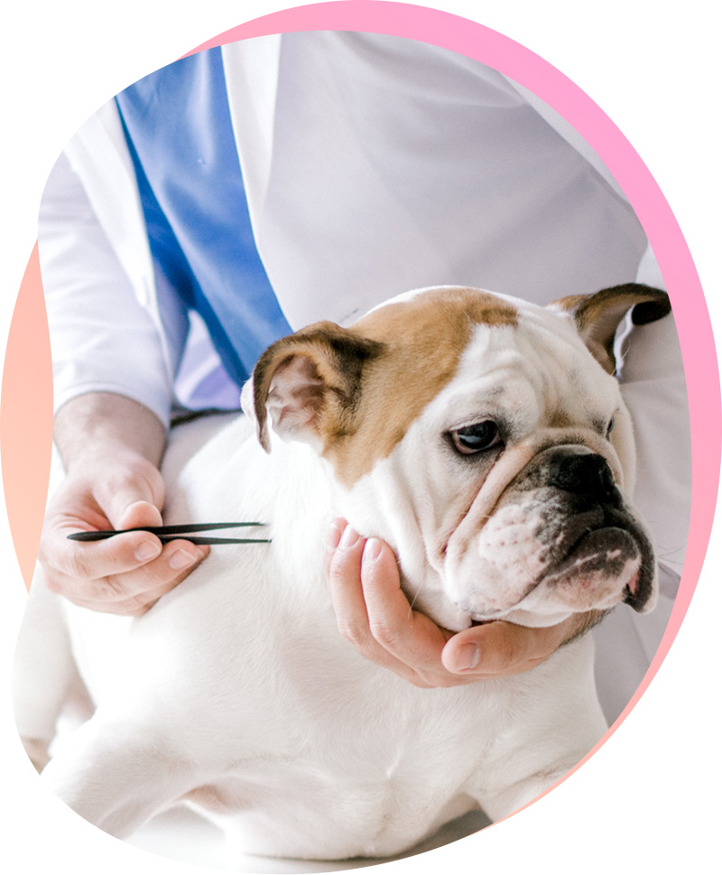 Big Data Remains Good Long Term Bet