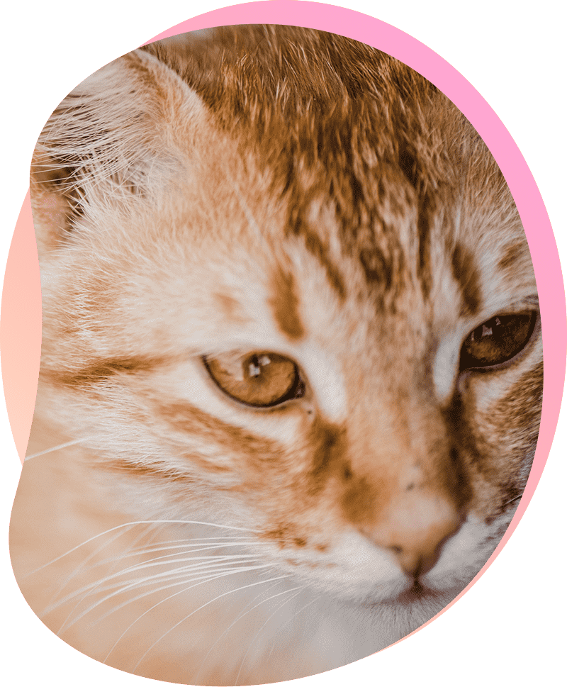 Workplace Depression at All Time High